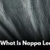 What Is Nappa Leather